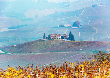 Vineyards in Barolo valley