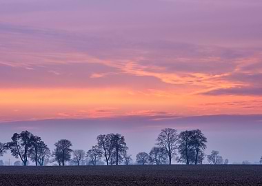 Silhouette Scenic Scene Re