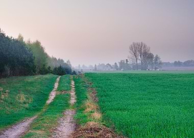 Growth Landscaped Green Cr