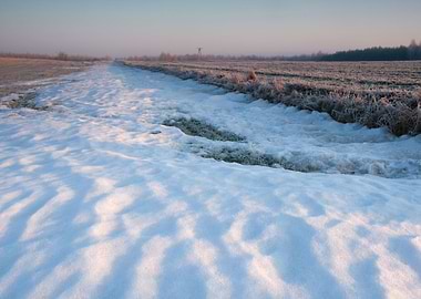 Snow Sun Winter Field Suns