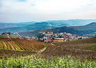 Vineyards in Barolo valley