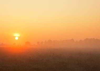 Fog Sky Tree Hazy View Dus