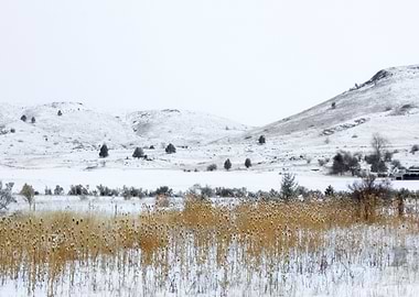 Image Picture Background