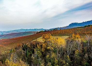 Vineyards in Barolo valley
