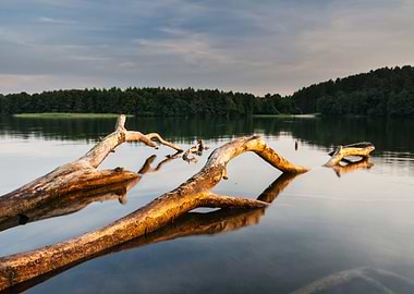 Autumn Background Beautifu