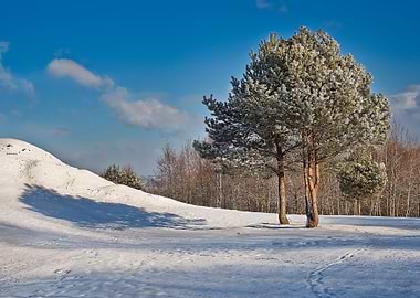 Sky Snow Season Park Lands