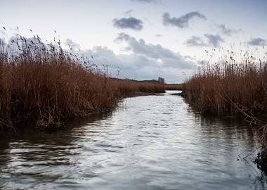 Nature River Water Wild La