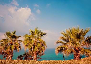 Arid Background Beach Beau
