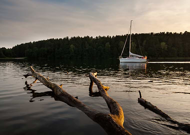 Autumn Background Beautifu