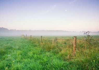 Fog Sky Tree Hazy View Dus