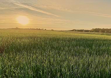 Sunset in the garden