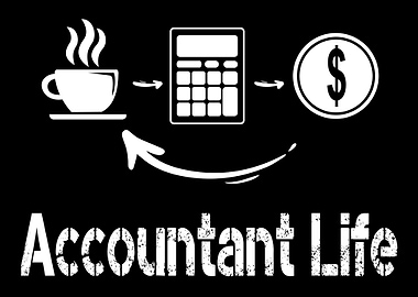 Accountant life