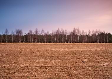 Plant Pasture Plow Plowed