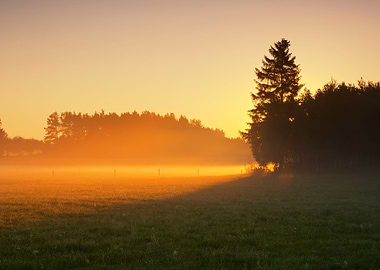 Fog Sky Tree Hazy View Dus