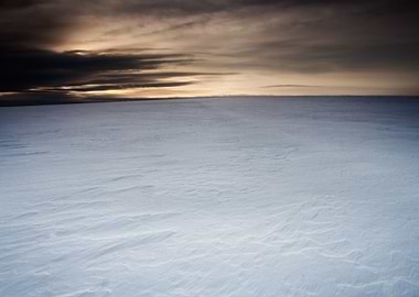 Snow Sun Winter Field Suns