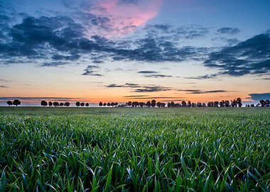 Land Nature Meadow Sky Gre
