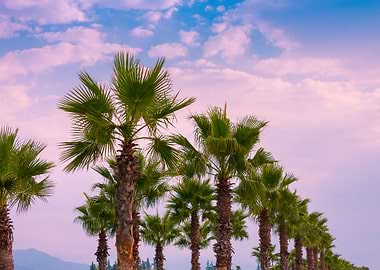 Background Beauty Blue Bra