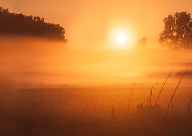 Sunset Meadow Farm Outdoor