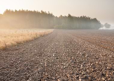 Outdoor Grow Vibrant Storm