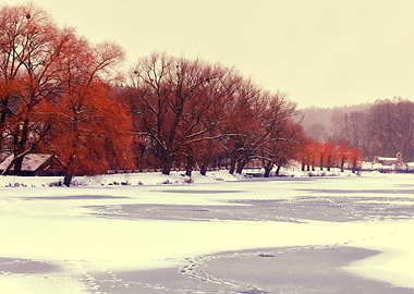 Bank Brook Christmas Coast