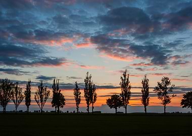 Sky Silhouette Landscape T