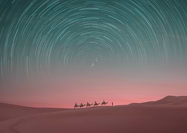 exploring the desert