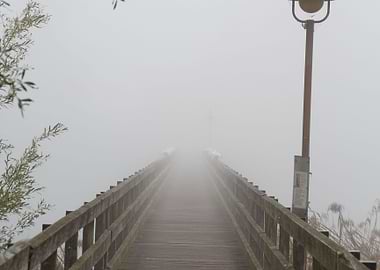 Brcke im Nebel am Rhein