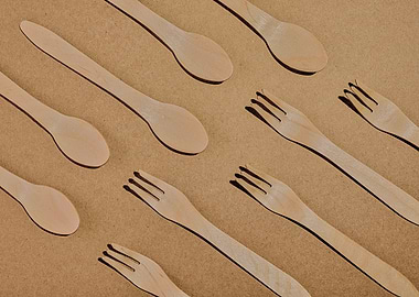 Eco Fork and Spoon