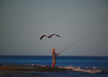 An Old Man Beach Fishing
