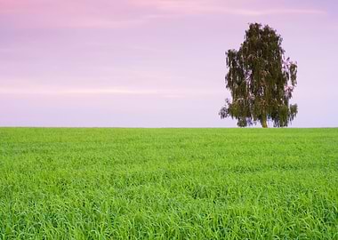 Growth Landscaped Green Cr