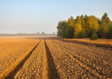 Ground Fog Soil Foggy Agri