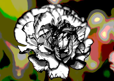 Counterbalance Abstract