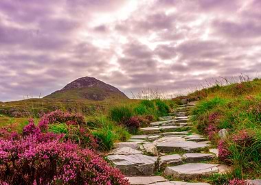 LandscapesMountain Nature