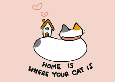 Home is where your cat is