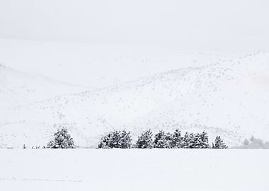 Image Picture Wallpaper