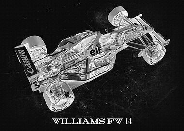 WILLIAMS FW 14