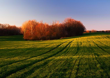 Meadow Nature Landscape Ha