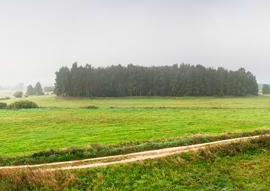 Meadow Nature Landscape Ha