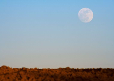 Plant Pasture Plow Plowed