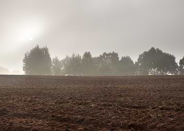 Plant Pasture Plow Plowed