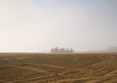 Ground Fog Soil Foggy Agri