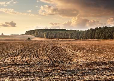 Ground Fog Soil Foggy Agri