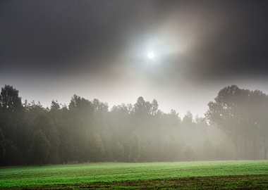 Meadow Nature Landscape Ha