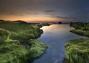 LandscapesMountain Nature