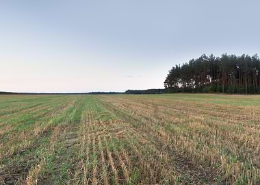 Agriculture Nature Harvest
