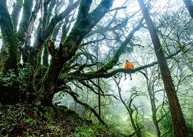 LandscapesMountain Nature