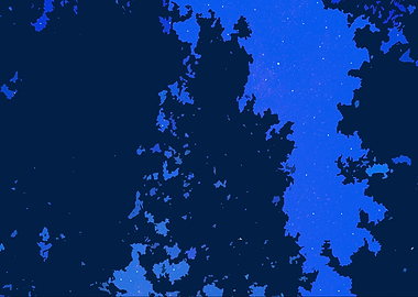 Starry night at forest