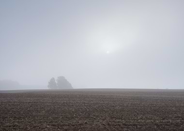 Ground Fog Soil Foggy Agri