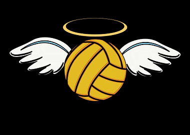 Water Polo Angle