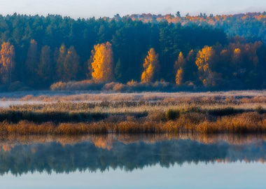 Landscape Lake Trees Morni